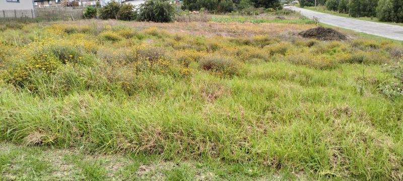 0 Bedroom Property for Sale in Friemersheim Western Cape